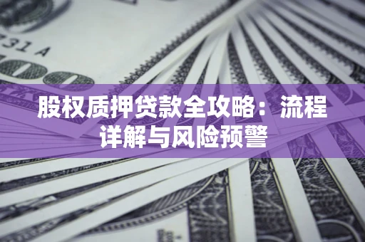 武汉股权质押贷款全攻略：流程详解与风险预警
