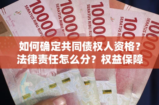 武汉如何确定共同债权人资格？法律责任怎么分？权益保障技巧揭秘！