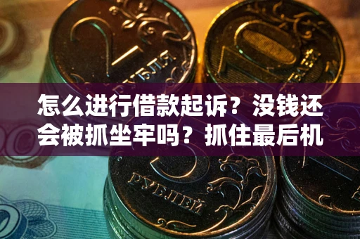 武汉怎么进行借款起诉？没钱还会被抓坐牢吗？抓住最后机会！