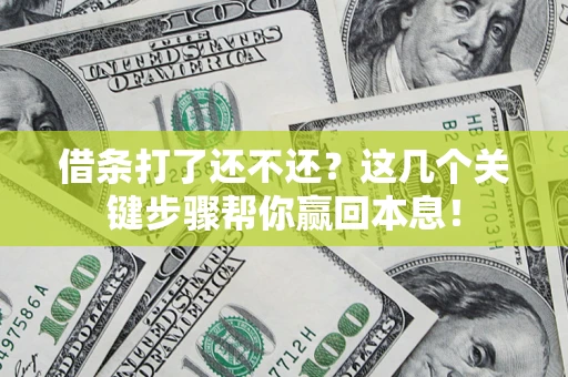 武汉借条打了还不还？这几个关键步骤帮你赢回本息！