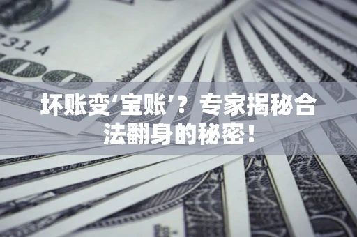 武汉坏账变‘宝账’？专家揭秘合法翻身的秘密！
