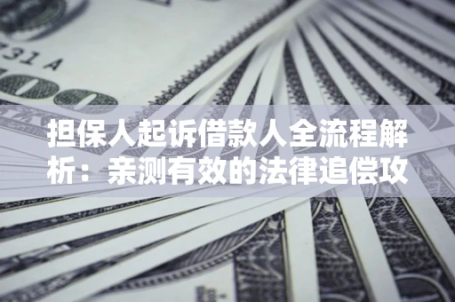 武汉担保人起诉借款人全流程解析：亲测有效的法律追偿攻略