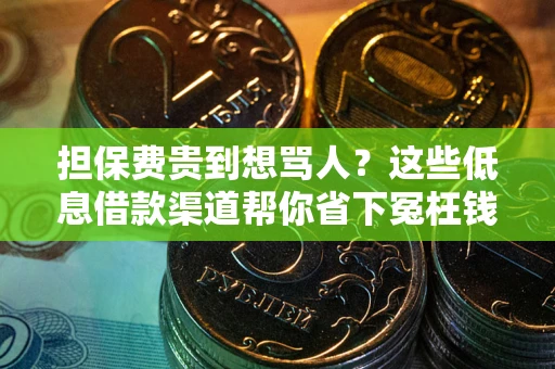武汉担保费贵到想骂人？这些低息借款渠道帮你省下冤枉钱
