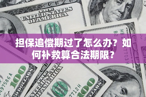 武汉担保追偿期过了怎么办？如何补救算合法期限？
