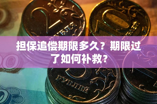 武汉担保追偿期限多久？期限过了如何补救？