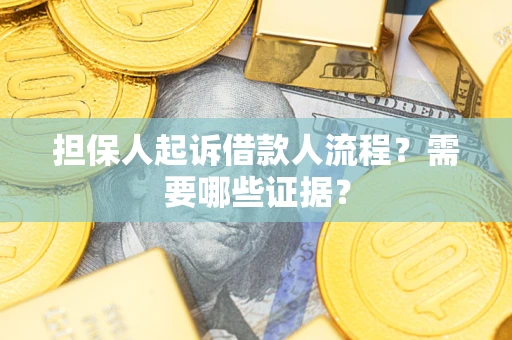 武汉担保人起诉借款人流程？需要哪些证据？