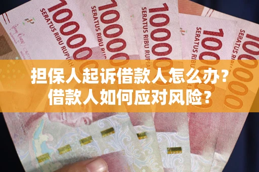 武汉担保人起诉借款人怎么办？借款人如何应对风险？