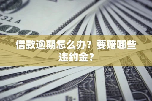 武汉借款逾期怎么办？要赔哪些违约金？