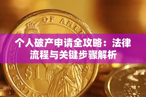 武汉个人破产申请全攻略：法律流程与关键步骤解析