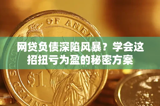 武汉网贷负债深陷风暴？学会这招扭亏为盈的秘密方案