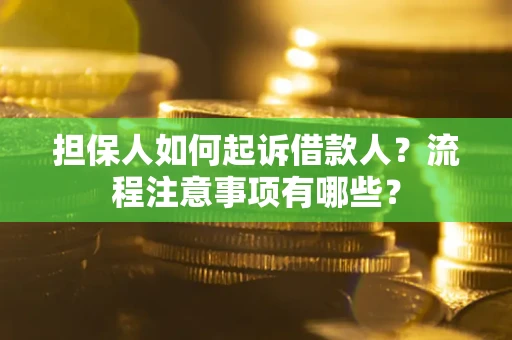 武汉担保人如何起诉借款人？流程注意事项有哪些？